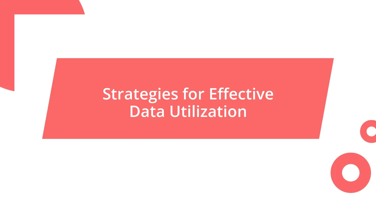 Strategies for Effective Data Utilization